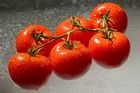 Herzhafte Tomaten