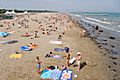 Der Lidostrand, in Bibione ist der Strand schöner & sauberer.