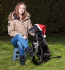 Frohe Weihnachten von Ponto