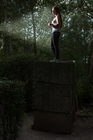 Im dunklen Wald