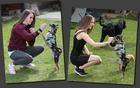 Fotografentrick 1: Tiere bringen hoffentlich mehr Ernst ins Shooting