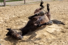 Kleines Sandbad