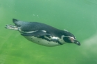 Zoo Krefeld