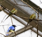 Zoo Krefeld