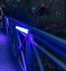 Kleine Br&uuml;cke in blau getaucht