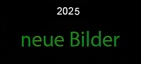 2025